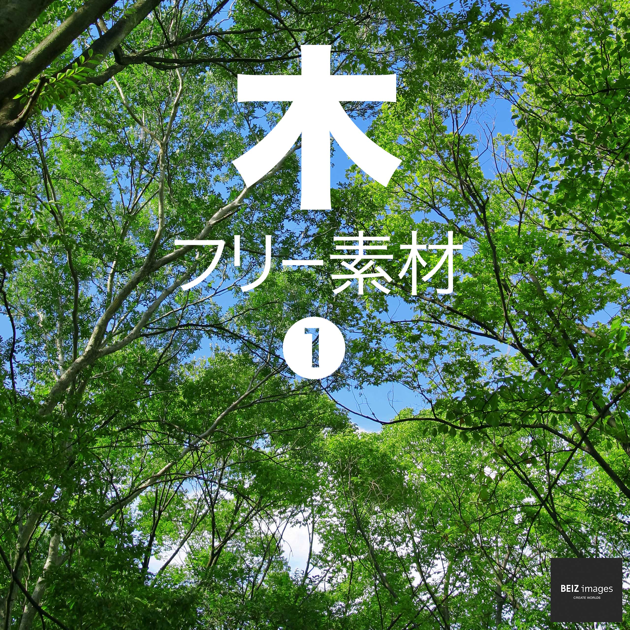 木 フリー素材 1
