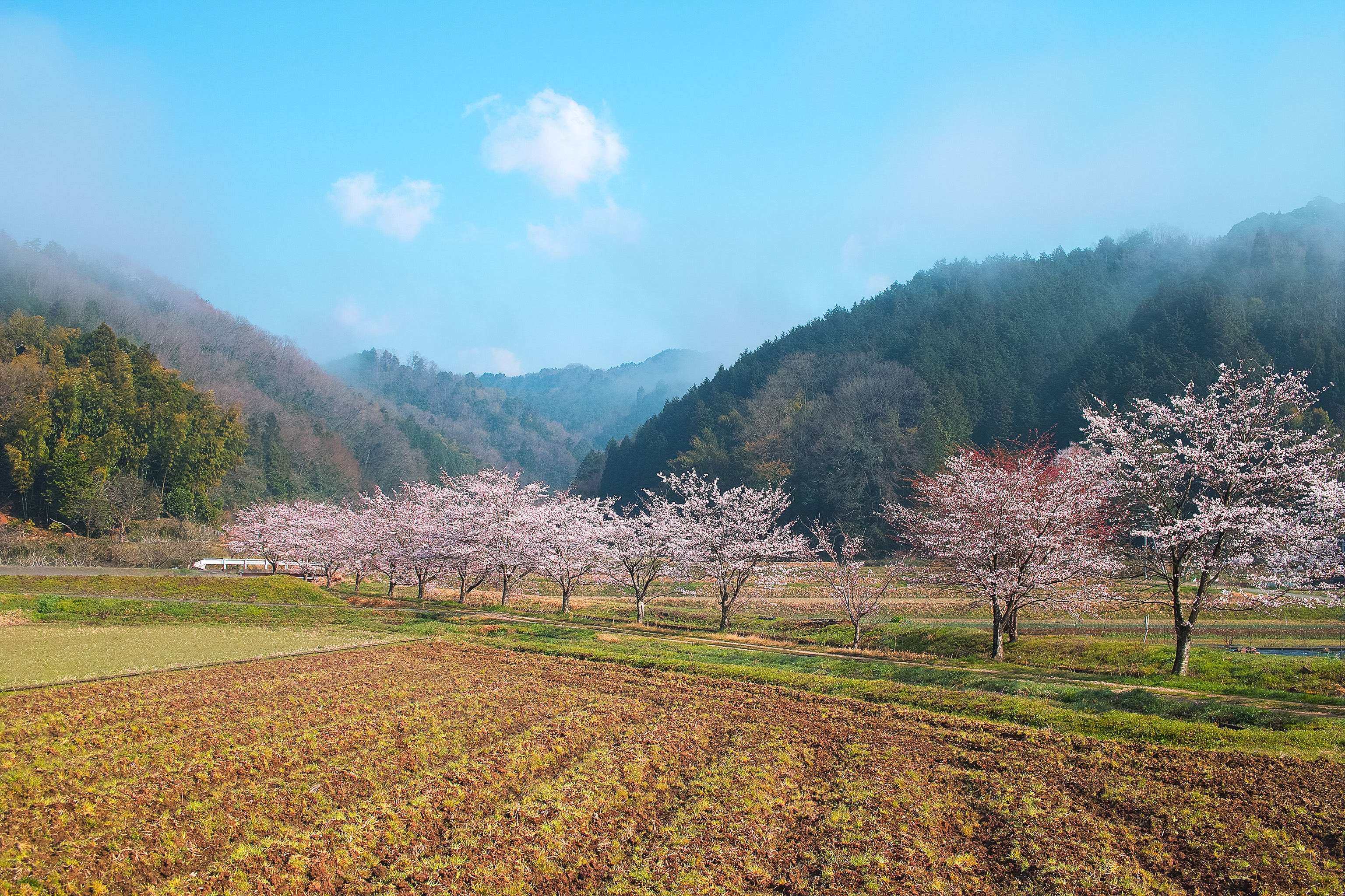 風景