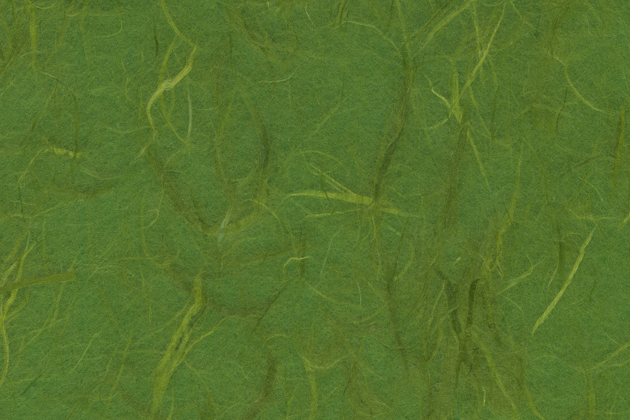 筋のテクスチャがある深緑色の雲竜和紙 のテクスチャ素材を無料ダウンロード 1 フリー素材 Beiz Images