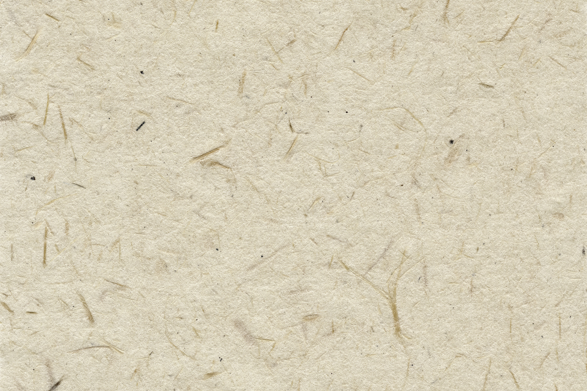 「楮が草模様に見える和紙」のテクスチャを無料ダウンロード