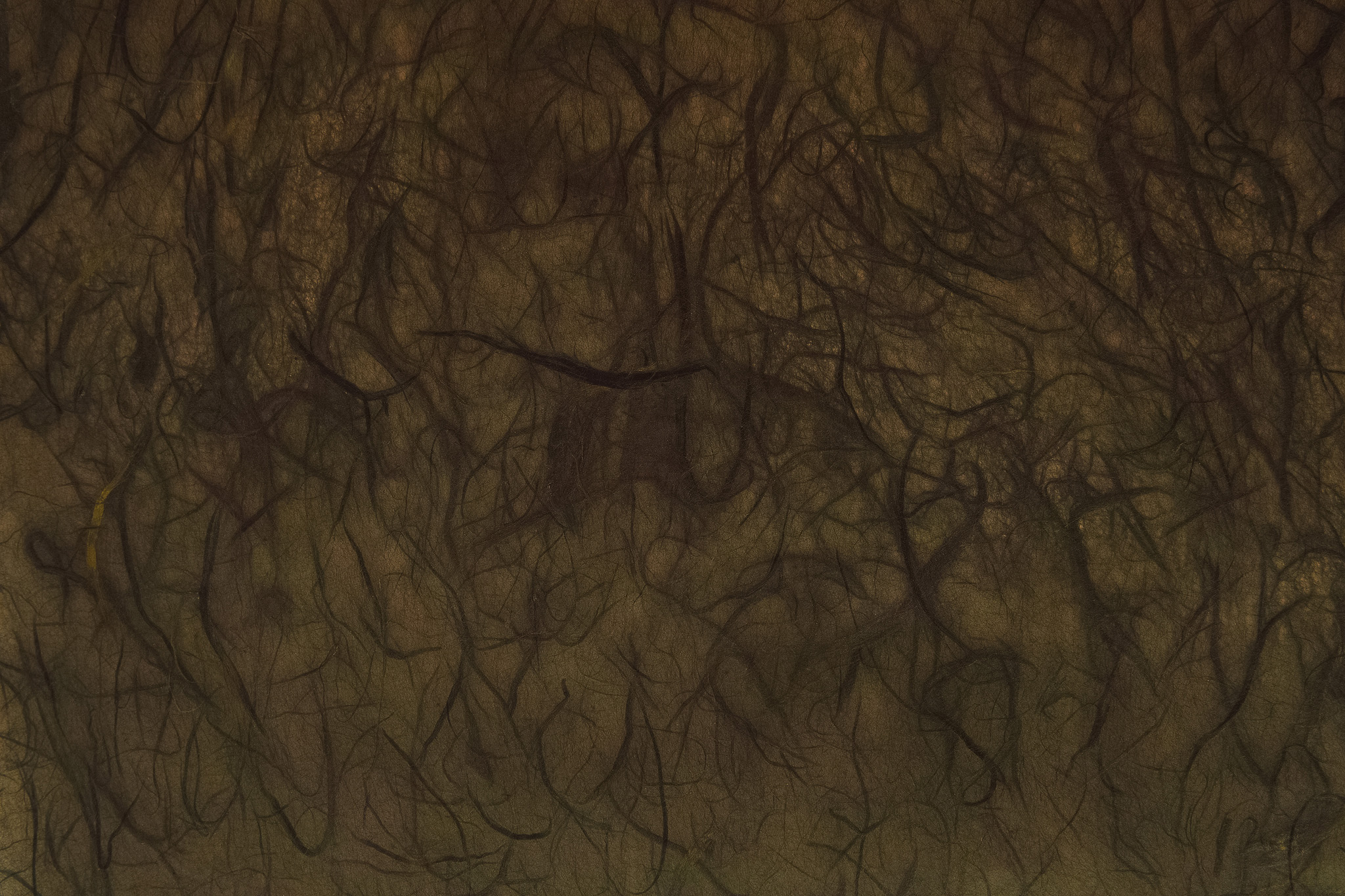 土中の根のような茶色い和紙 のテクスチャを無料ダウンロード 1 フリーテクスチャ Beiz Images