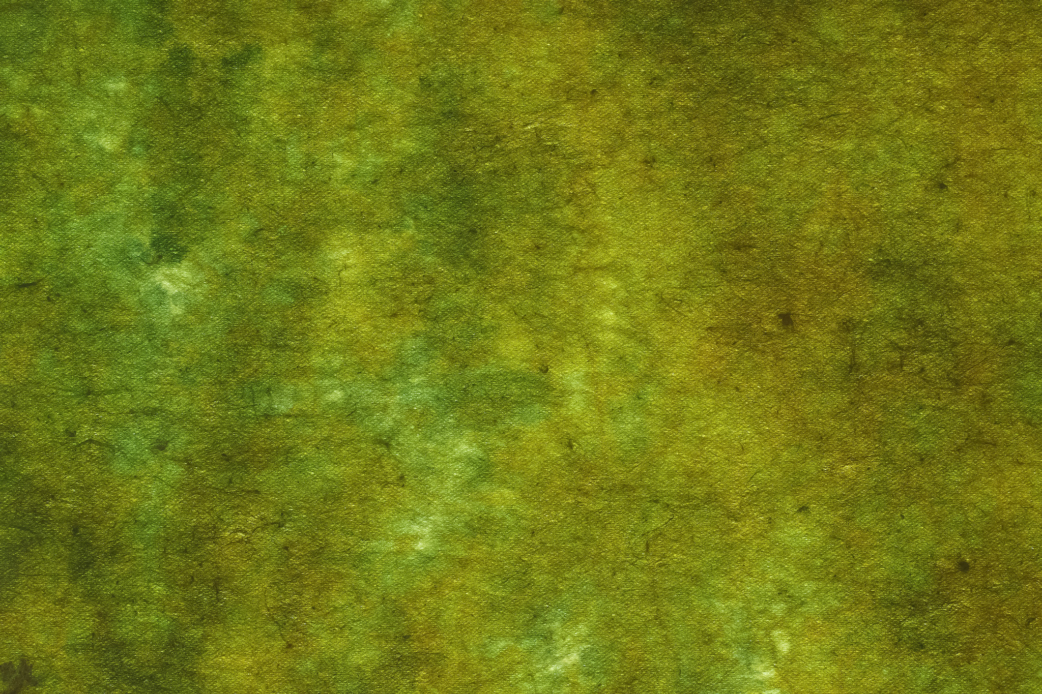 苔のような斑模様の染和紙 のテクスチャを無料ダウンロード 1 フリーテクスチャ Beiz Images