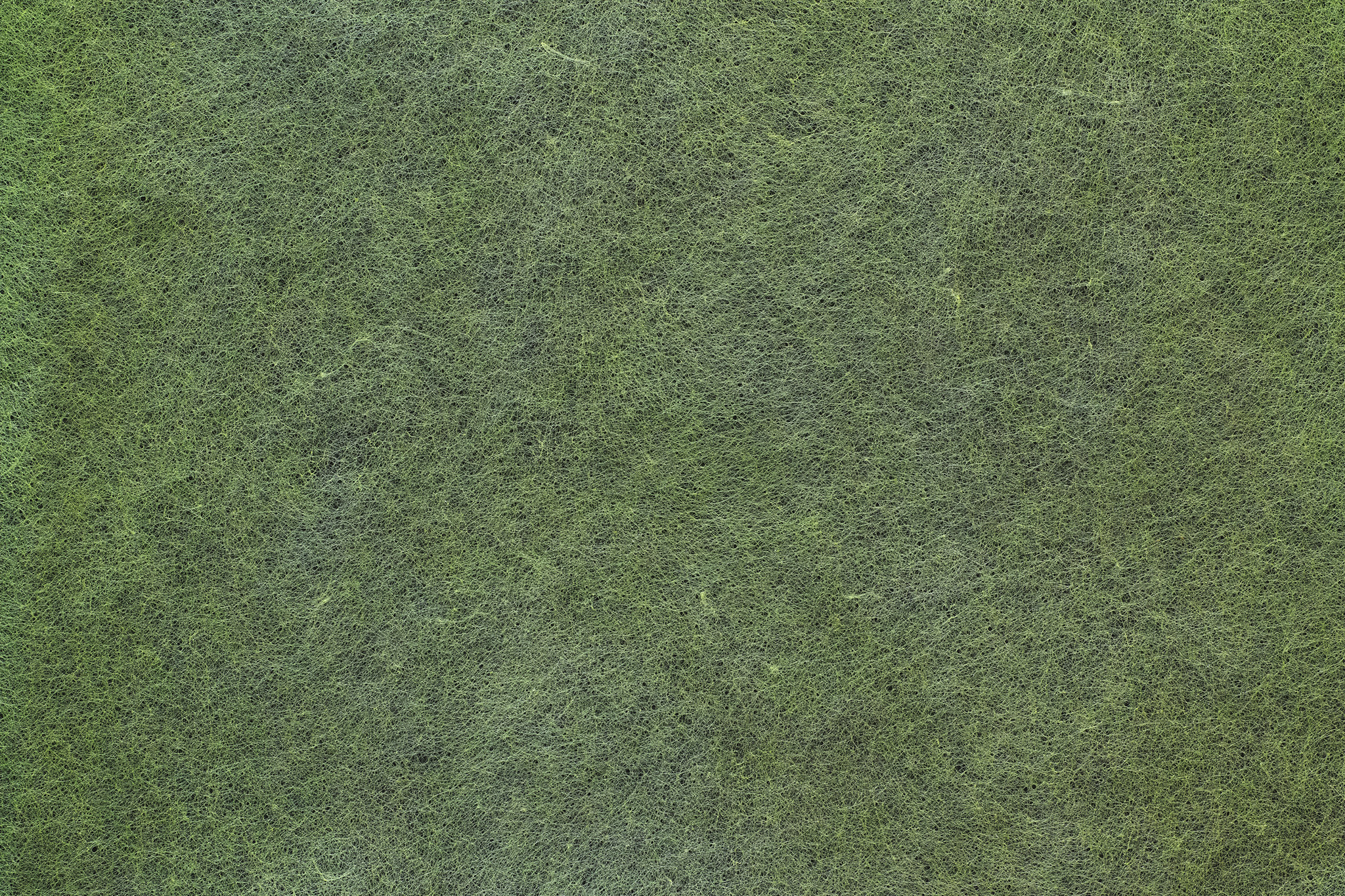 斑のある芝生の様な草色和紙 のテクスチャ素材を無料ダウンロード 1 背景フリー素材 Beiz Images