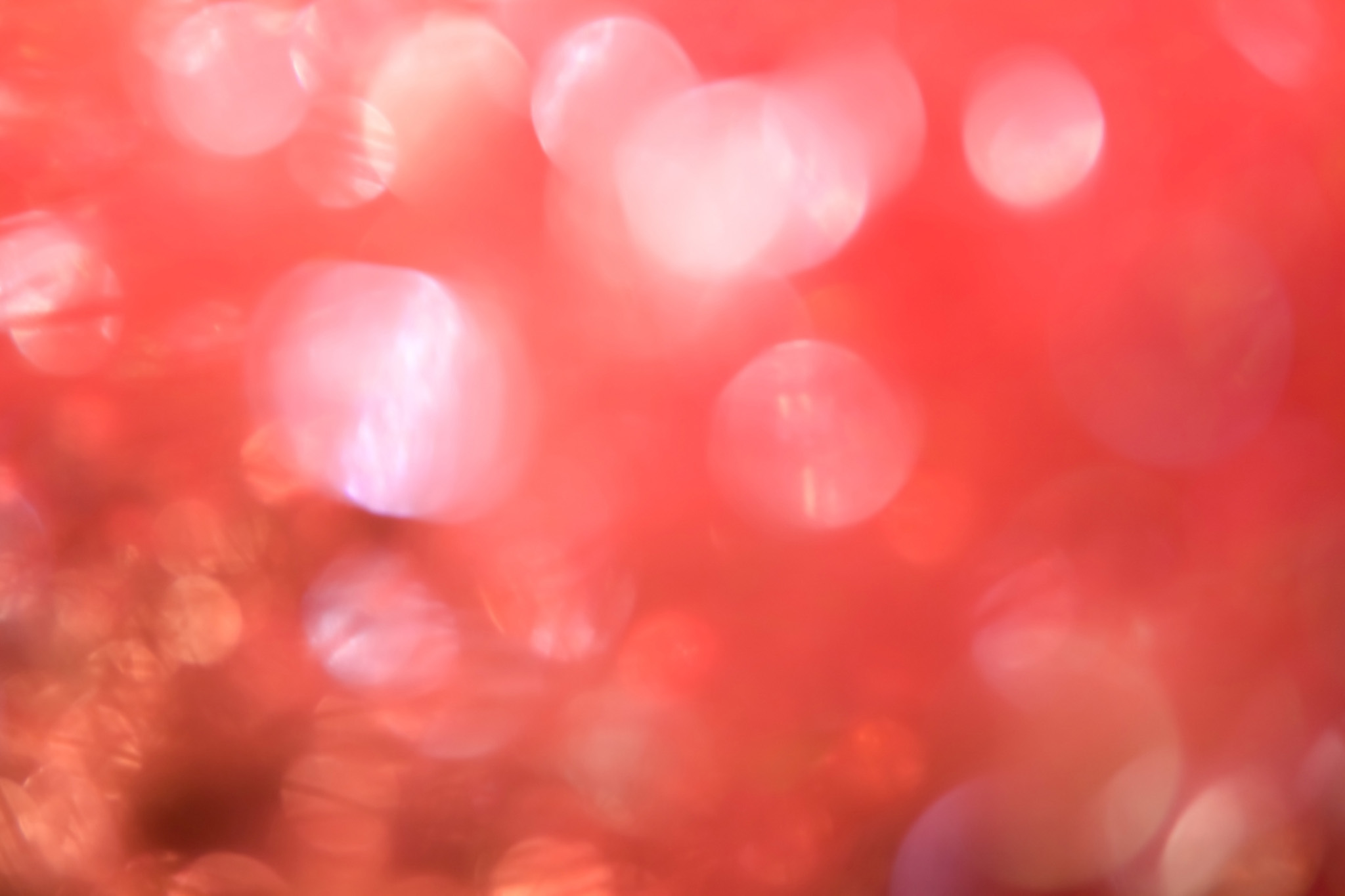 揺れる赤い花のような光 の画像 写真素材を無料ダウンロード 1 フリー素材 Beiz Images