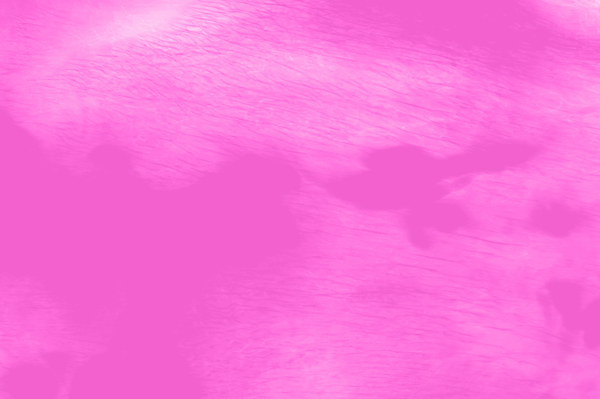 ピンク色のおしゃれな無地画像 の画像素材を無料ダウンロード 1 フリー素材 Beiz Images