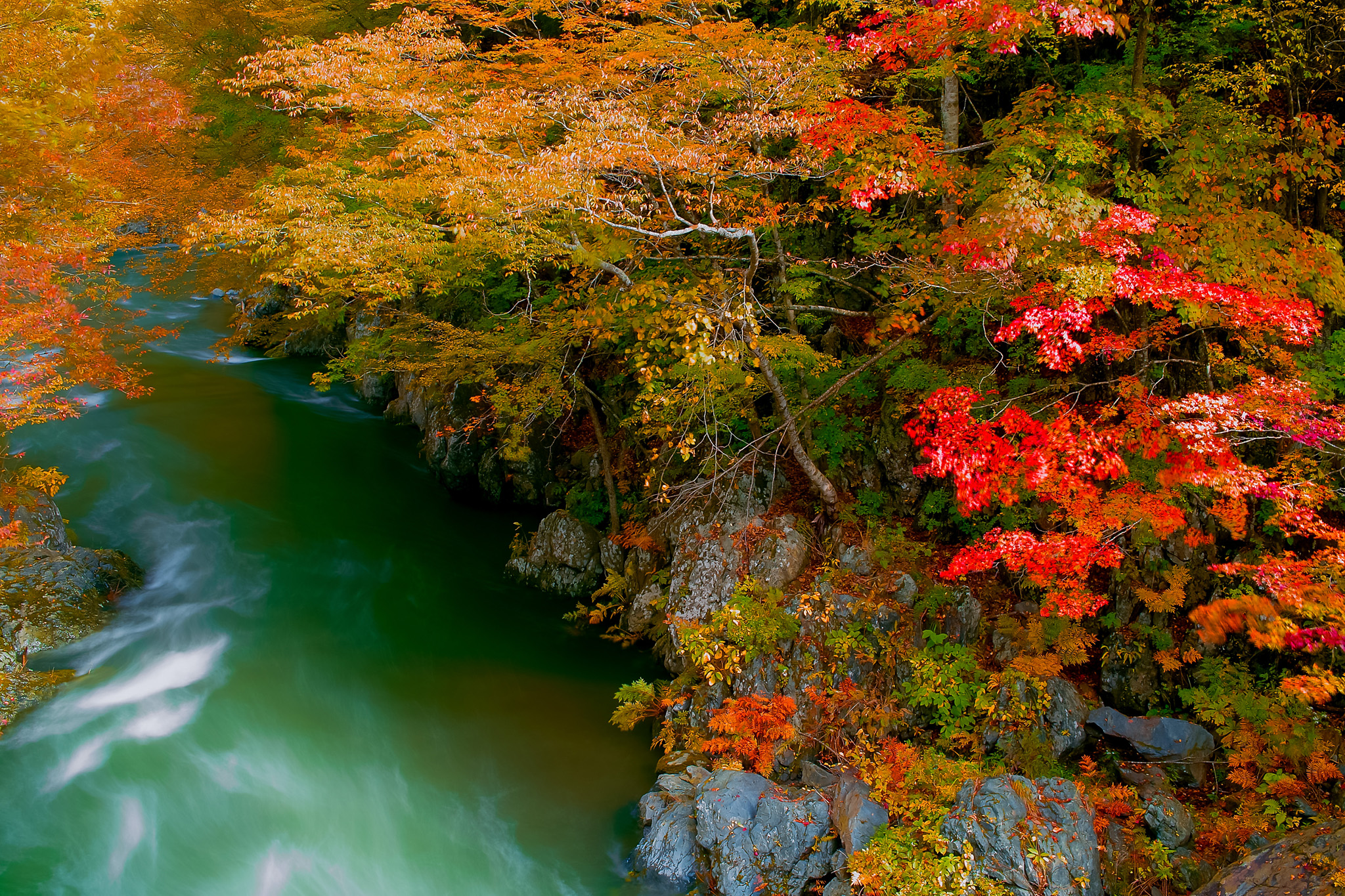 紅葉の中を流れる緑の川 の画像 写真素材を無料ダウンロード 1 背景フリー素材 Beiz Images
