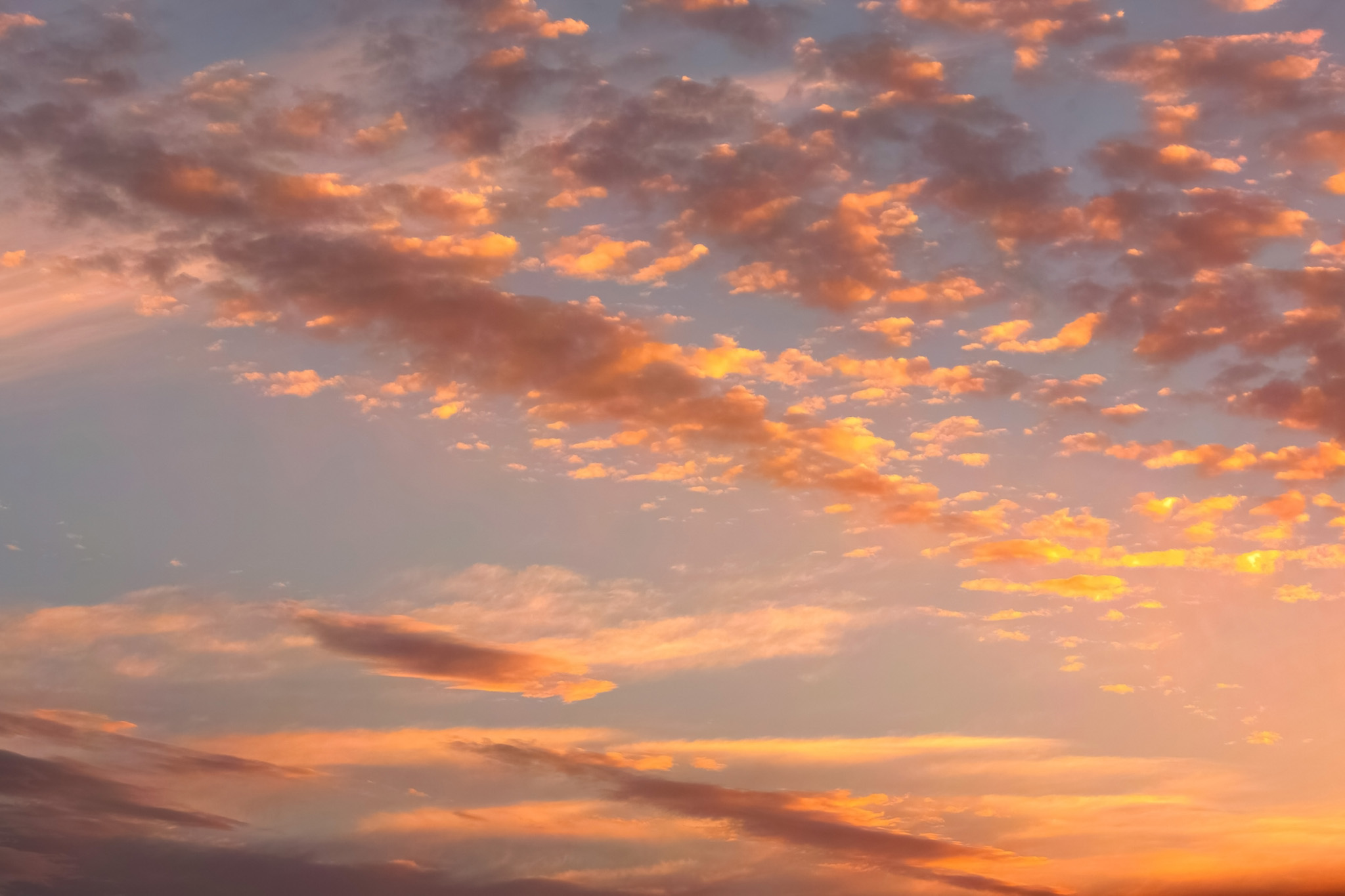 茜雲が夕焼けの光に照らされる の画像 写真素材を無料ダウンロード 1 フリー素材 Beiz Images
