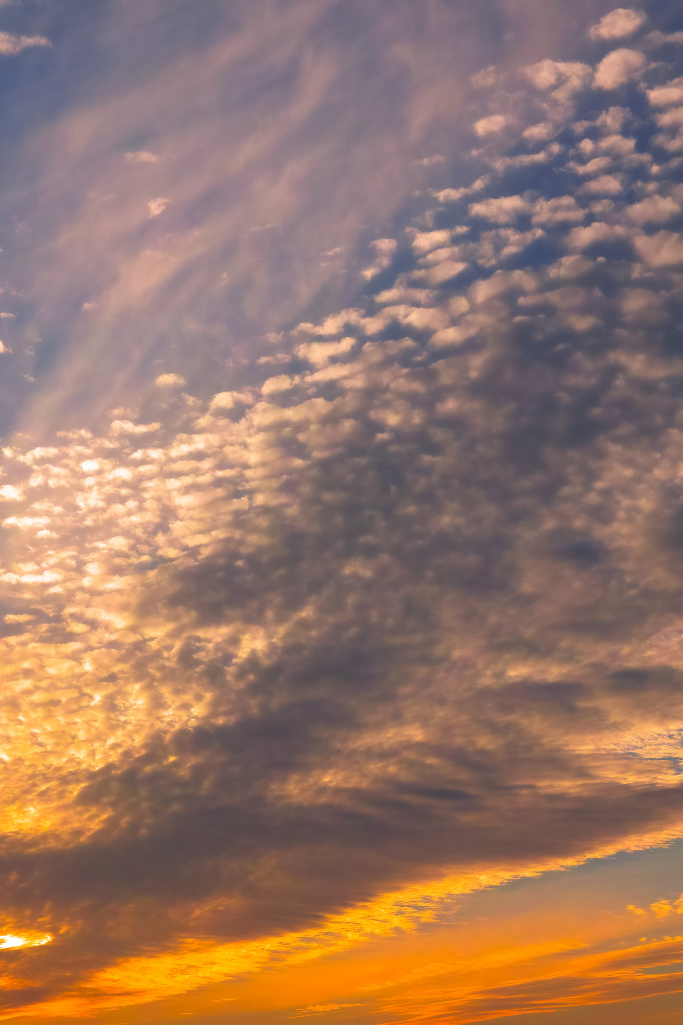 夕焼けが焦がすうろこ雲 の画像 写真素材を無料ダウンロード 1 背景フリー素材 Beiz Images