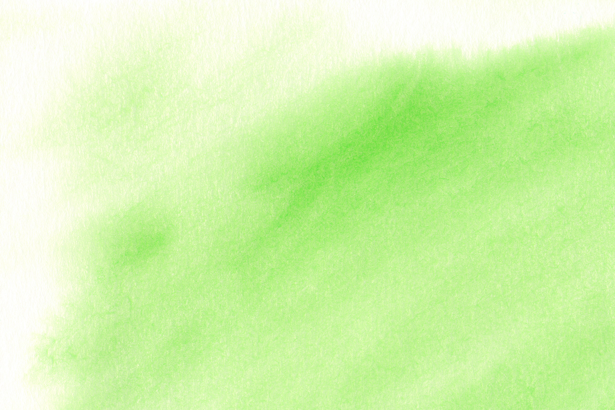エレガント壁紙 グラデーション 緑 最高の花の画像