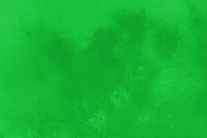 緑のおしゃれなテクスチャ壁紙