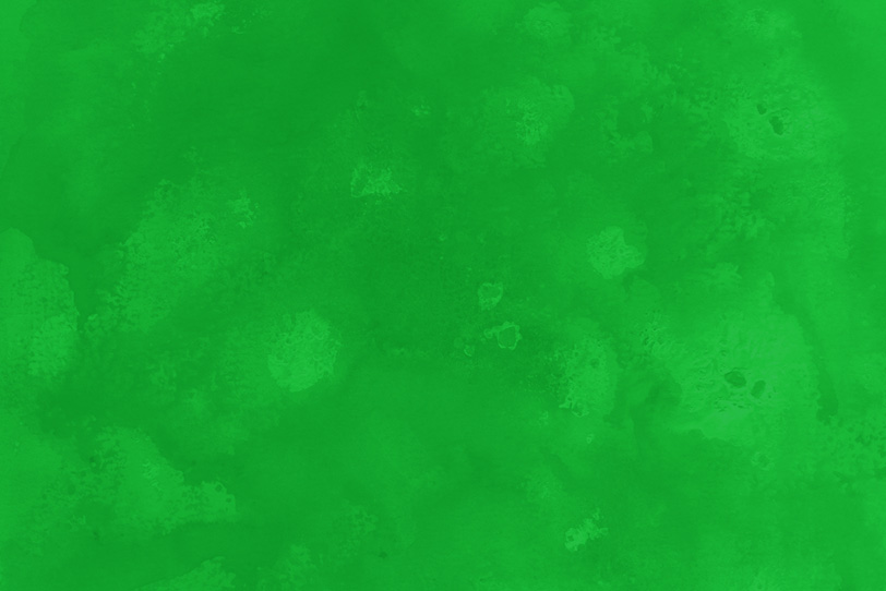 緑のおしゃれなフリー画像