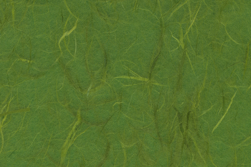筋のテクスチャがある深緑色の雲竜和紙の写真画像