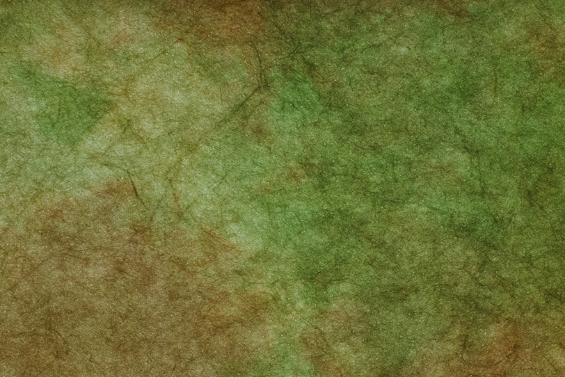 草色と茶色が混ざる斑の和紙の写真画像