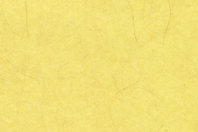 楮の繊維が入った黄蘗色の和紙の写真画像