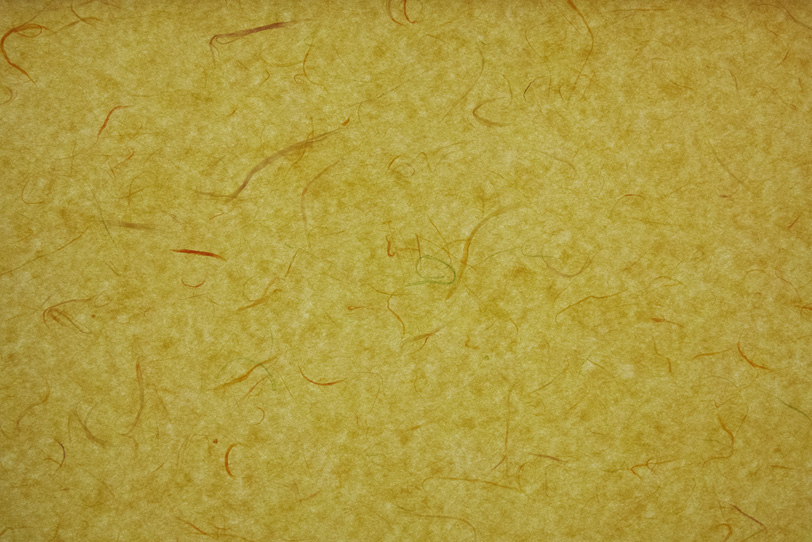 茶みを帯びた柳葉色の和紙の写真画像