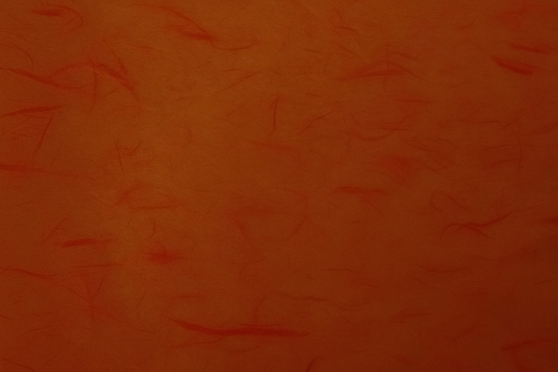 楮の筋が薄く見える落栗色の雲竜和紙の写真画像