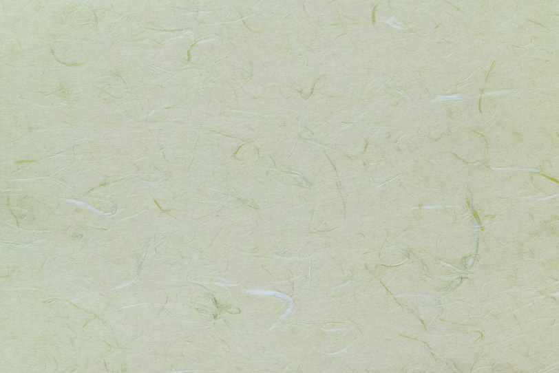 緑と白の楮繊維が入った柳鼠色の雲竜和紙の写真画像