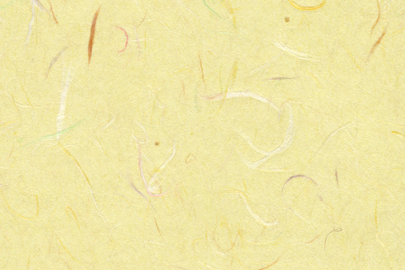 色付き楮が入った薄黄色の和紙の写真画像