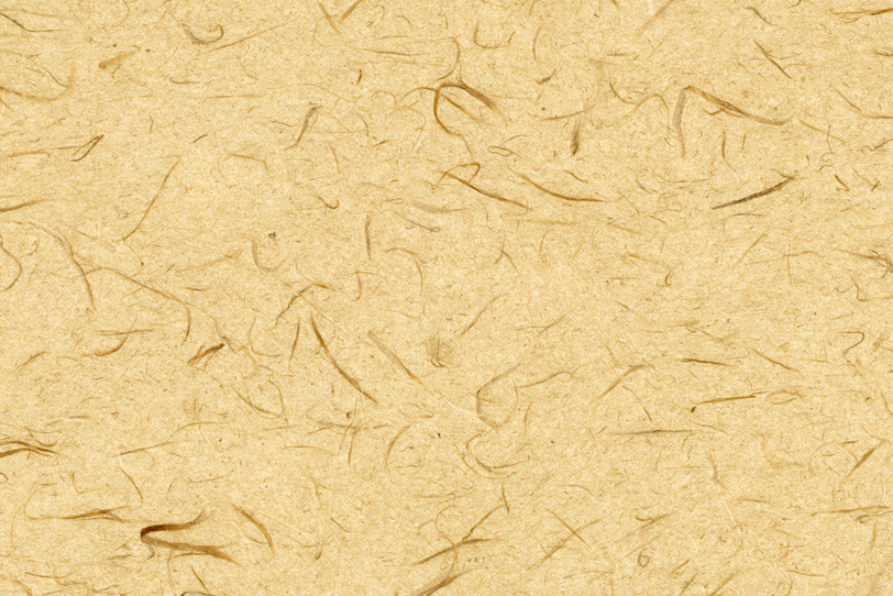 楮の繊維の入った丁子色の和紙の写真画像