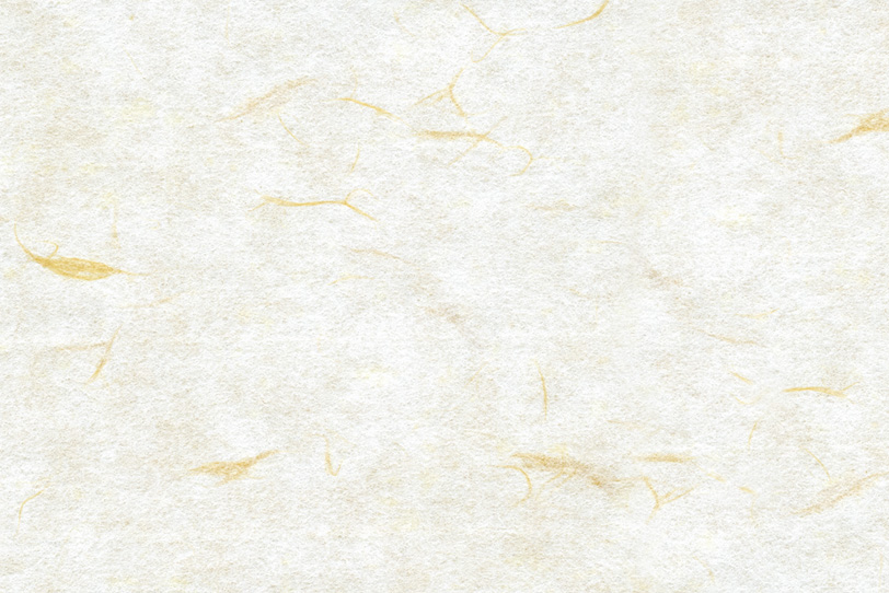 楮の模様が美しい白い和紙の写真画像