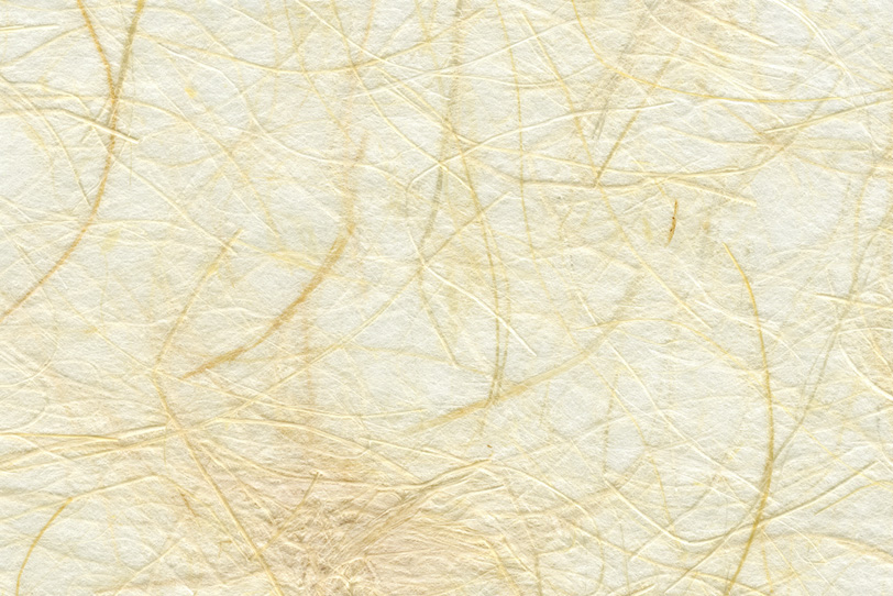 長い楮の繊維が沢山入った白い和紙の写真画像