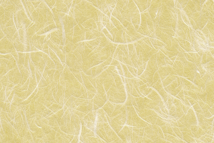 大きな白楮の筋が浮き出た淡黄蘗の和紙の写真画像