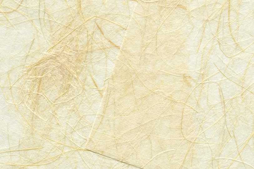 茶色い筋が浮き出た白い和紙の写真画像