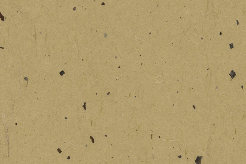 楊梅色の皮と筋のある和紙の写真画像