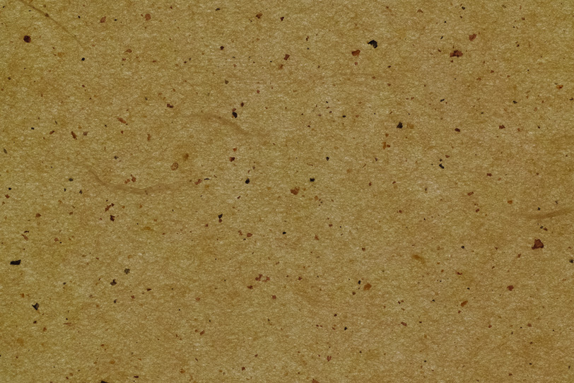 木蘭色の楮の皮と繊維のある和紙の写真画像