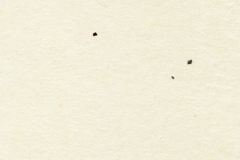 白の地紙に三つの黒皮が入った和紙の写真画像