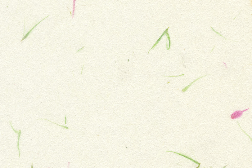 白百合色の紙に草模様がある和紙の写真画像
