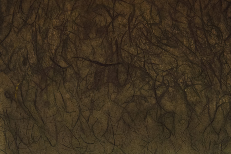 土中の根のような茶色い和紙の写真画像