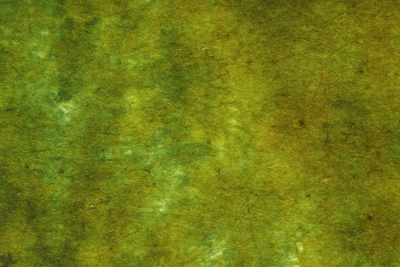 苔のような斑模様の染和紙の写真画像