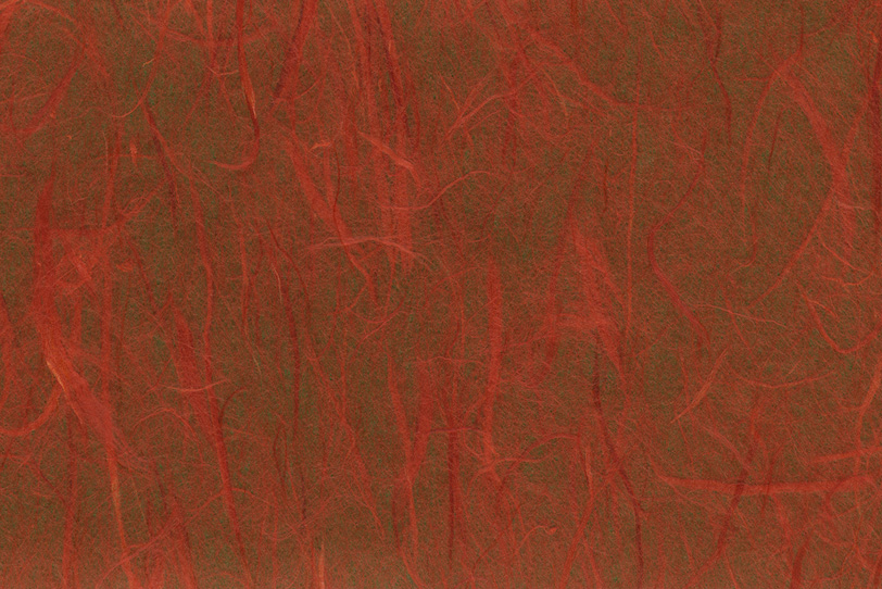 赤雲竜柄の唐茶色和紙の写真画像