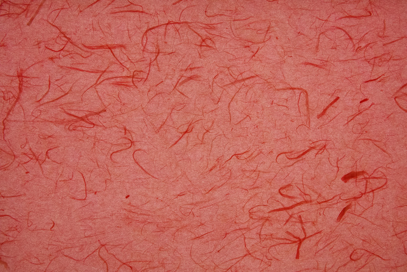 華のある雲竜柄の紅樺色和紙の写真画像