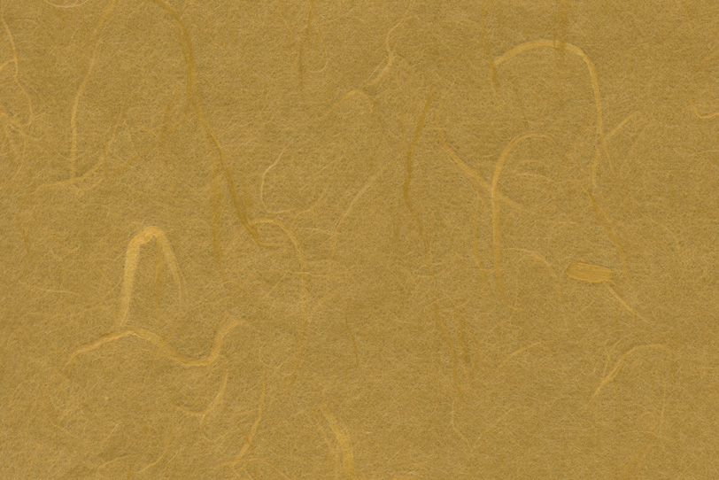 雲竜柄の枯淡な黄土色和紙の写真画像