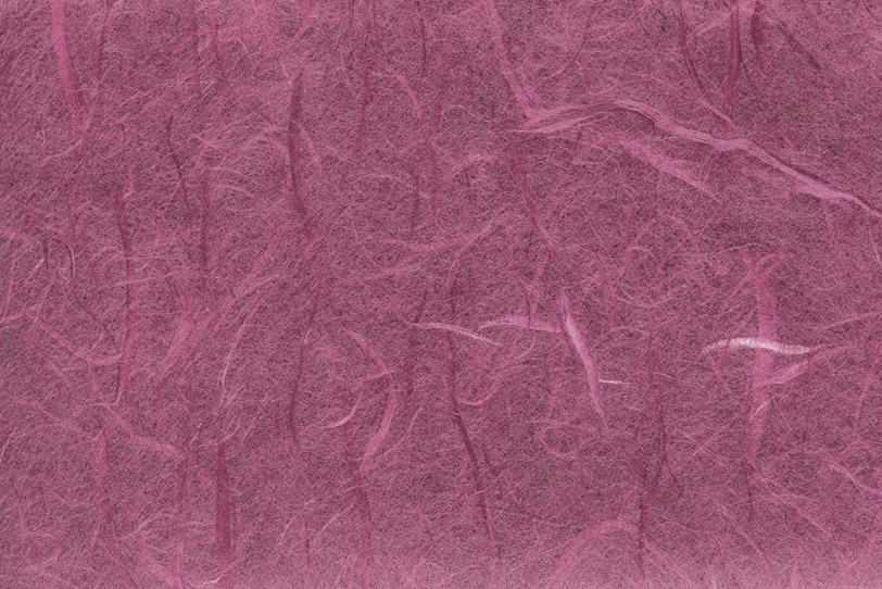 雲竜柄の艶美な京紫色和紙の写真画像