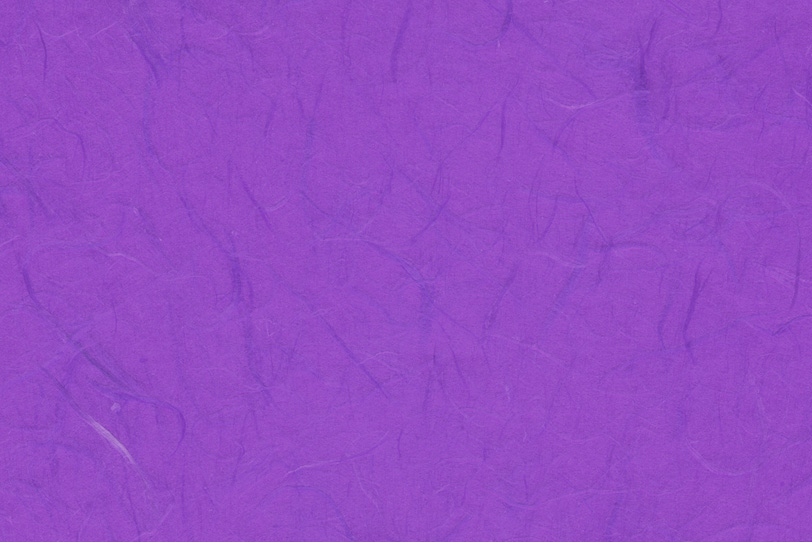雲竜柄の鮮やかな紫色和紙の写真画像