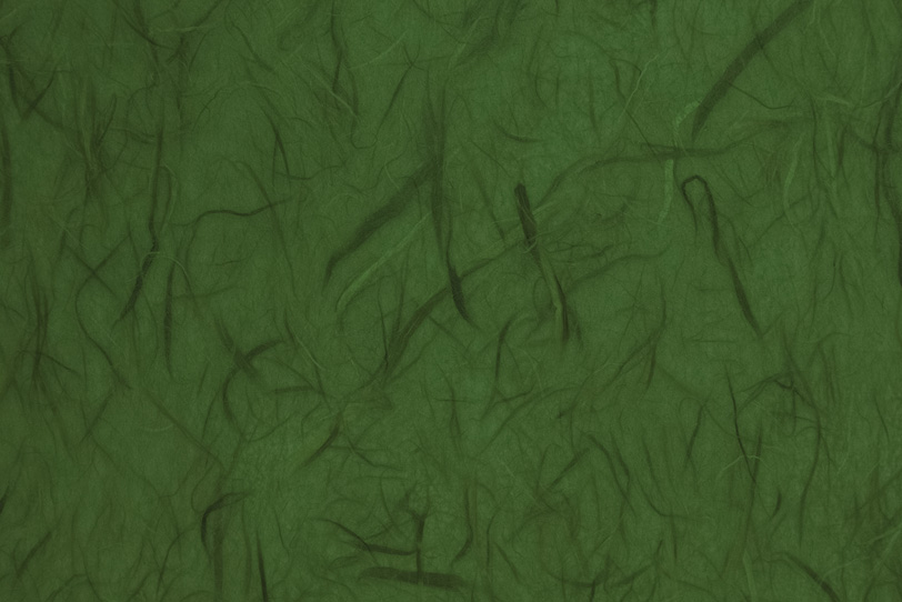 雲竜柄の千歳緑色和紙の写真画像
