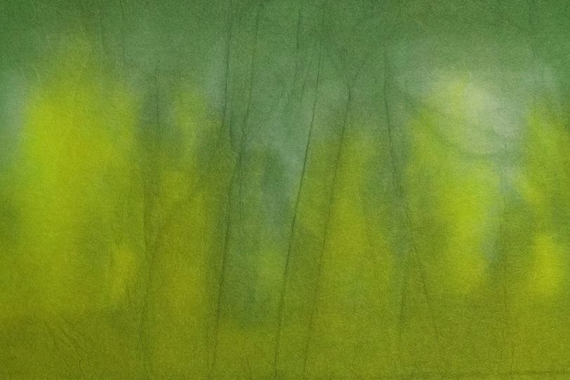 緑色と黄色が滲む暈染和紙の写真画像