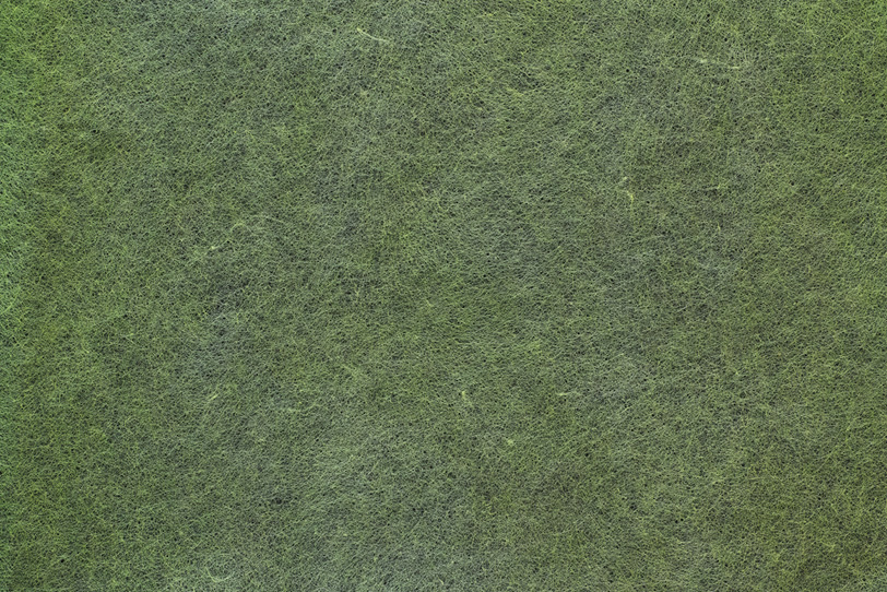 斑のある芝生の様な草色和紙の写真画像