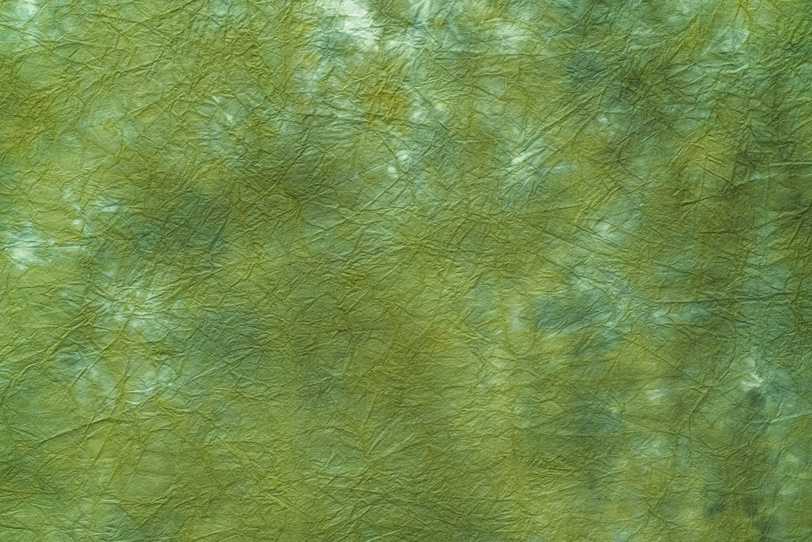 光に透ける葉の様な揉染和紙の写真画像