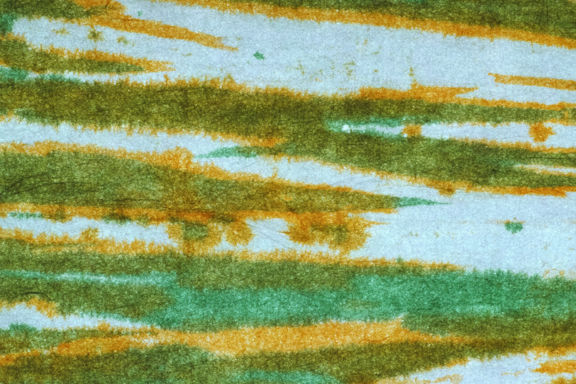 緑に橙の縁がある柄の柳絞り和紙の写真画像