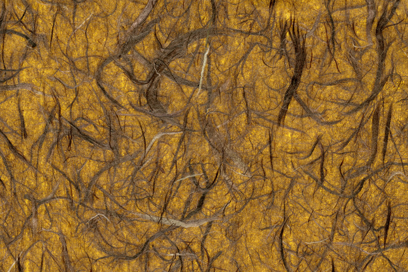 木の根の様なテクスチャの和紙の写真画像