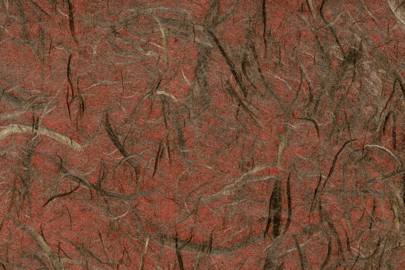 赤土に蔓が這っている様な和紙の写真画像