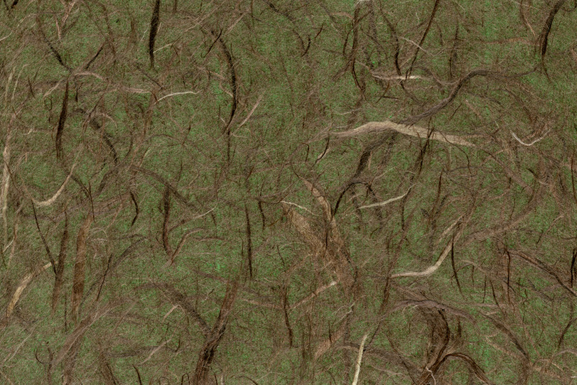 深い森のようなイメージの和紙の写真画像