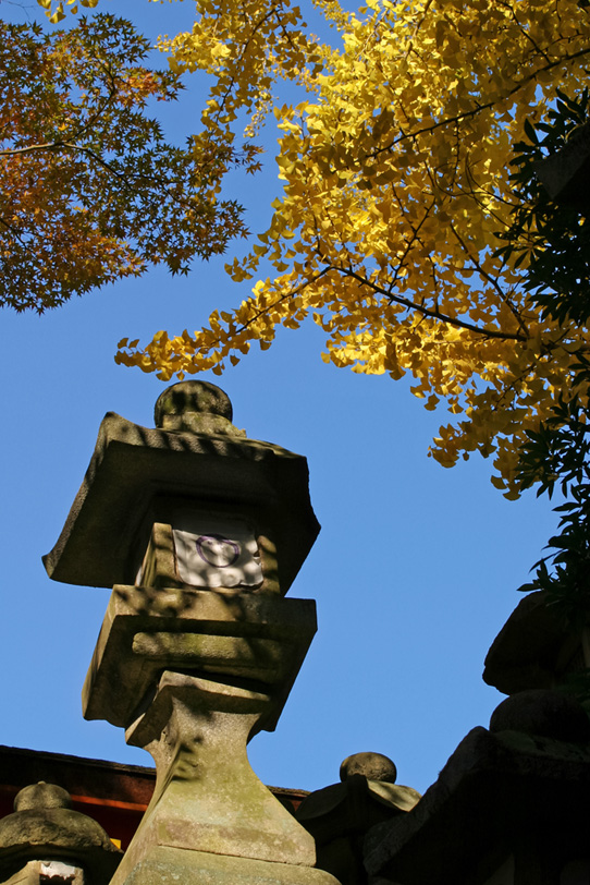 灯籠とイチョウと秋空の写真画像