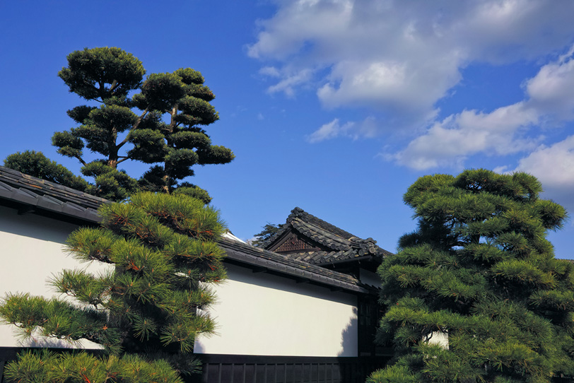 白壁と松がある日本家屋の写真画像