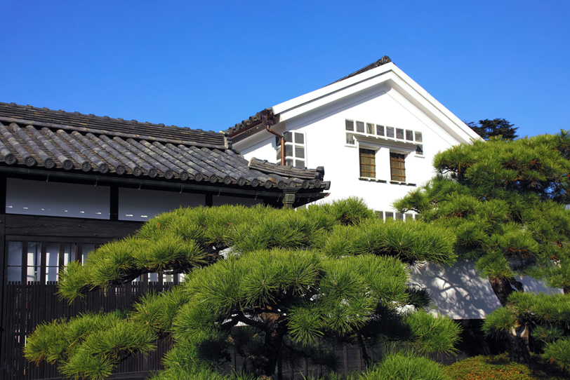 松と倉のある和風な家の写真画像