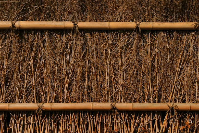 竹と枝の壁の写真画像